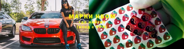 ПСИЛОЦИБИНОВЫЕ ГРИБЫ Краснотурьинск