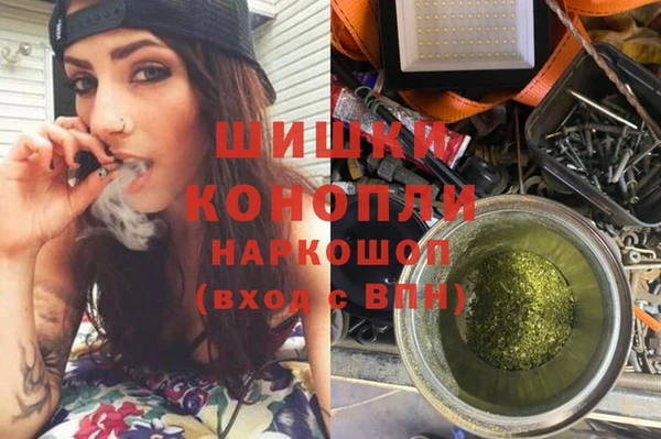 ПСИЛОЦИБИНОВЫЕ ГРИБЫ Краснотурьинск