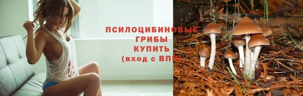 марки lsd Краснослободск