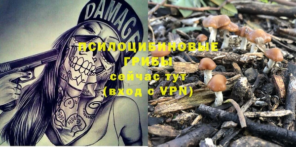 марки lsd Краснослободск