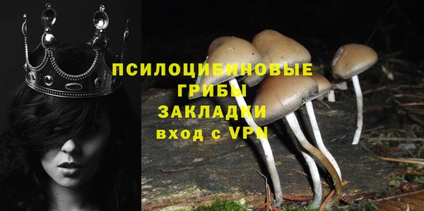 ПСИЛОЦИБИНОВЫЕ ГРИБЫ Краснотурьинск
