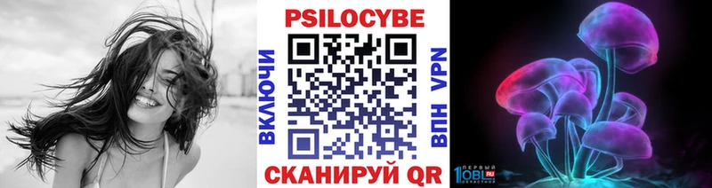 Купить где  Закаменск  Галлюциногенные грибы прущие грибы 