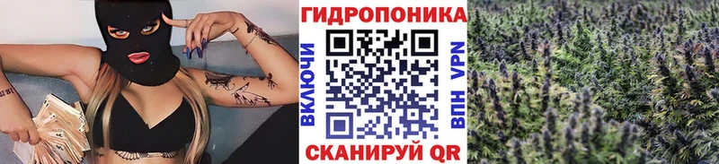Купить где  Закаменск  Конопля THC 21% 